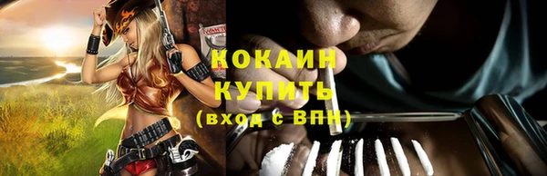 ALPHA PVP Новозыбков